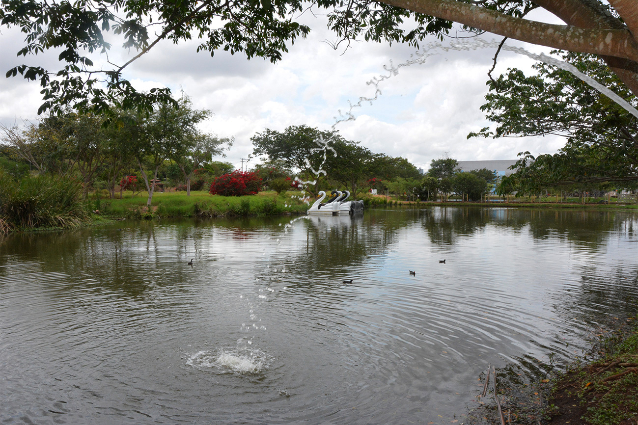 Foto: Reprodução/Prefeitura de Feira de Santana - BA